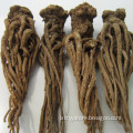 /msite/products/detail/productid/56948752/id/645581.html